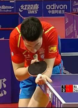 街道两旁的 街道两旁的