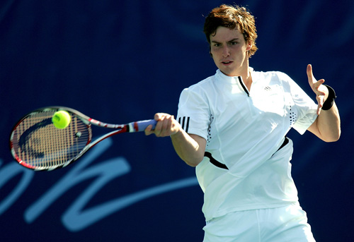 中也能看到 中也能看到